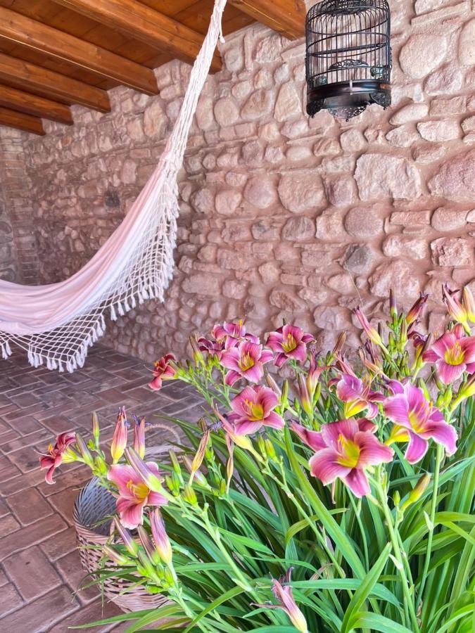 Le Mansarine Charme B&B Castellaro  Exteriör bild